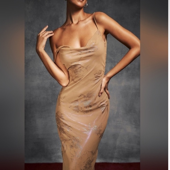 House of CB Gabrielle IRIDESCENT CAFE AU LAIT MAXI DRESS Size L+ - Picture 3 of 11